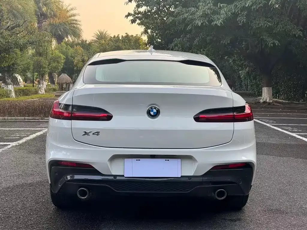 BMW X4 2021 из CN, фото 3