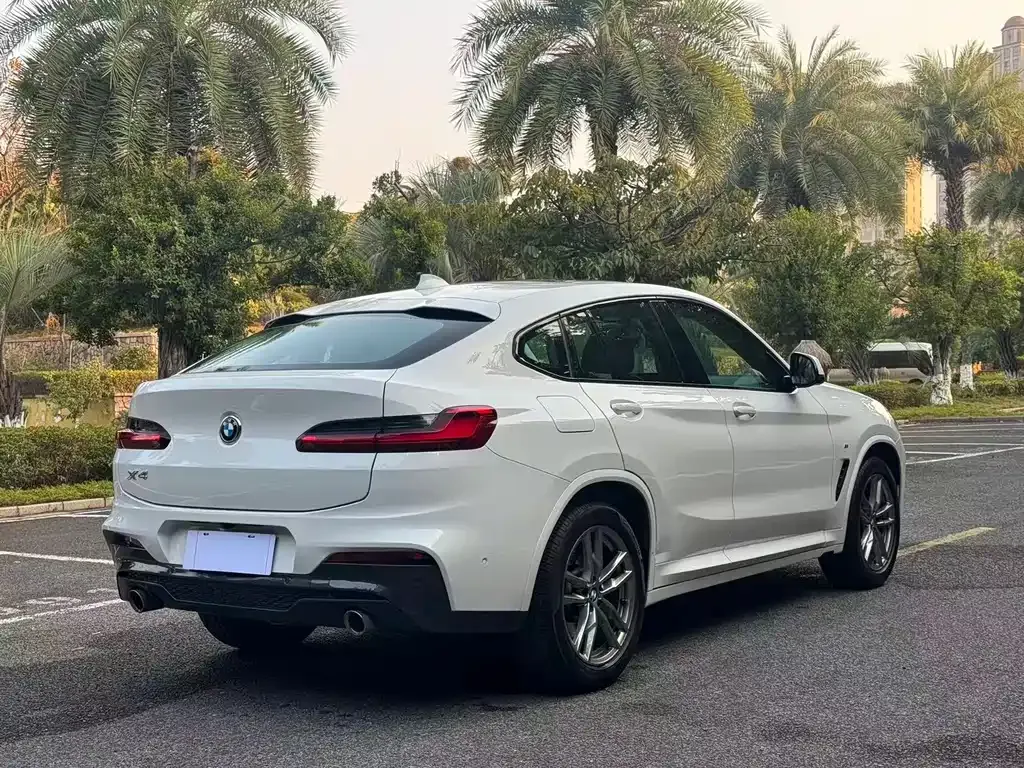 BMW X4 2021 из CN, фото 10