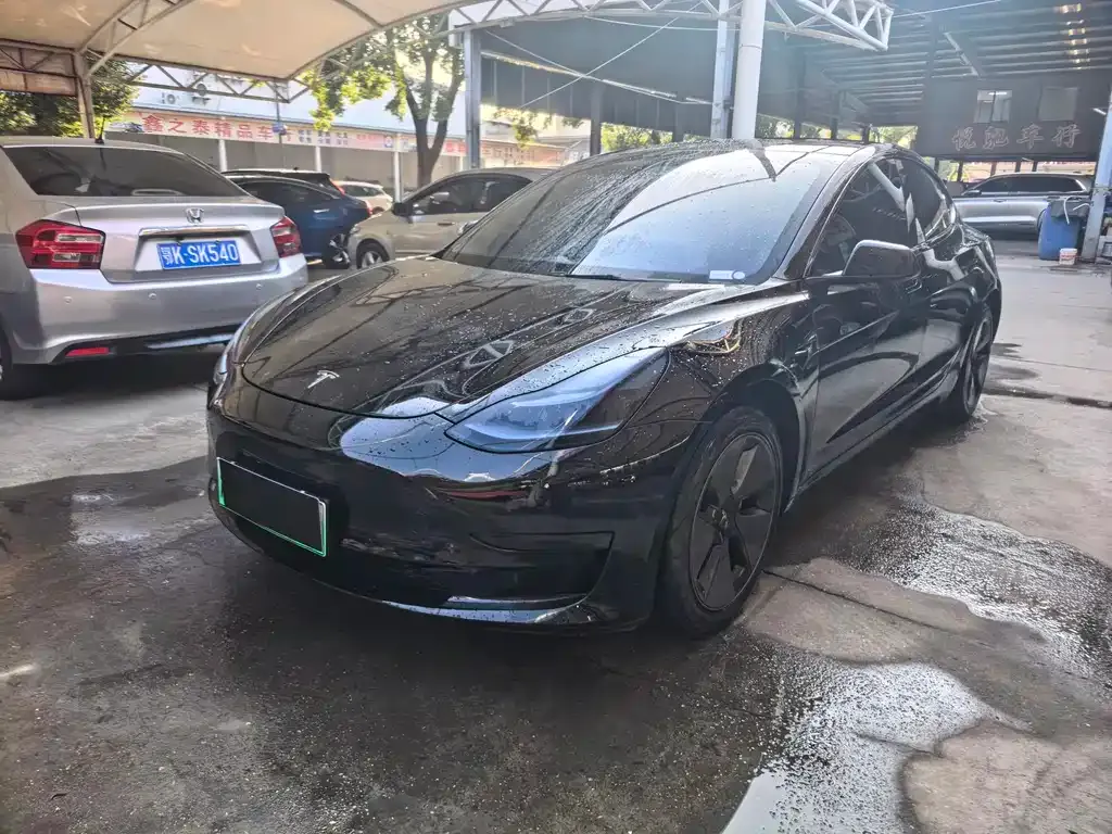 Tesla Model 3 2021 из CN, фото 1