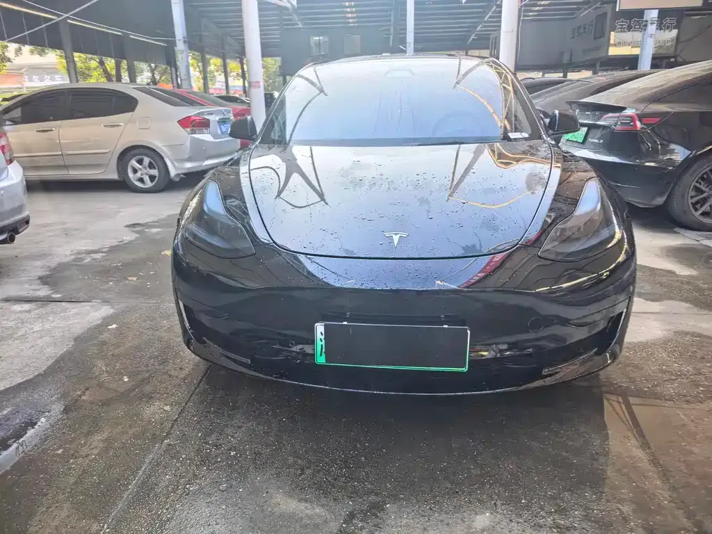 Tesla Model 3 2021 из CN, фото 5