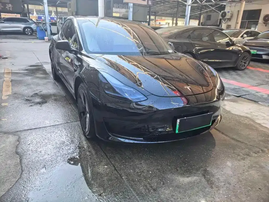 Tesla Model 3 2021 из CN, фото 6