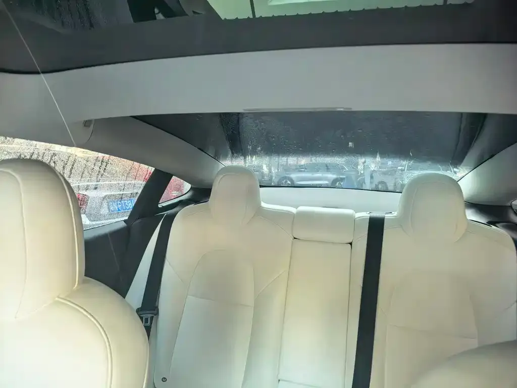 Tesla Model 3 2021 из CN, фото 2