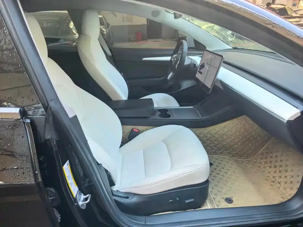 Tesla Model 3 2021 из CN, фото 4