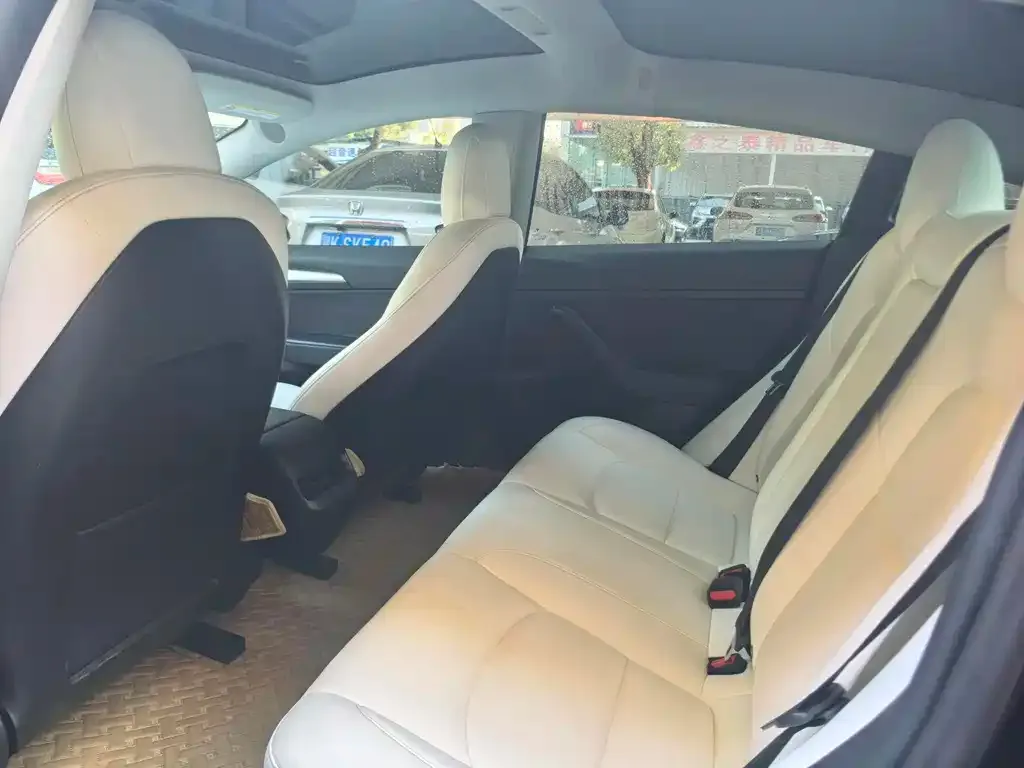 Tesla Model 3 2021 из CN, фото 7