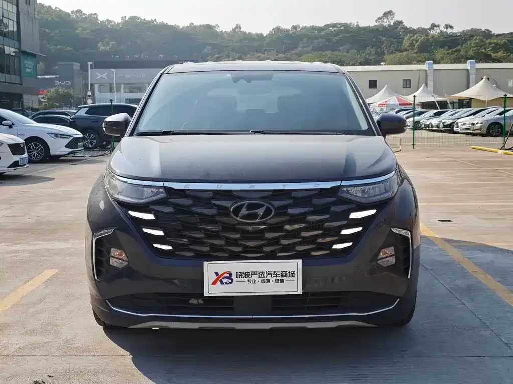 Hyundai Custo — фото 7