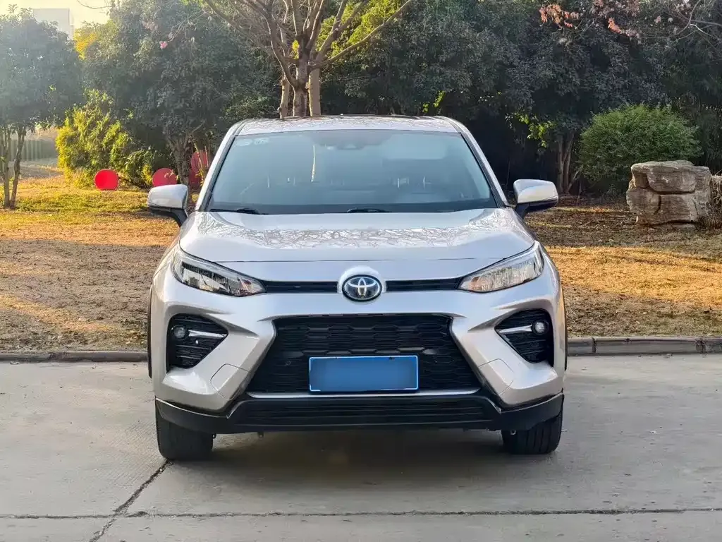 Toyota Wildlander 2021 из CN, фото 6
