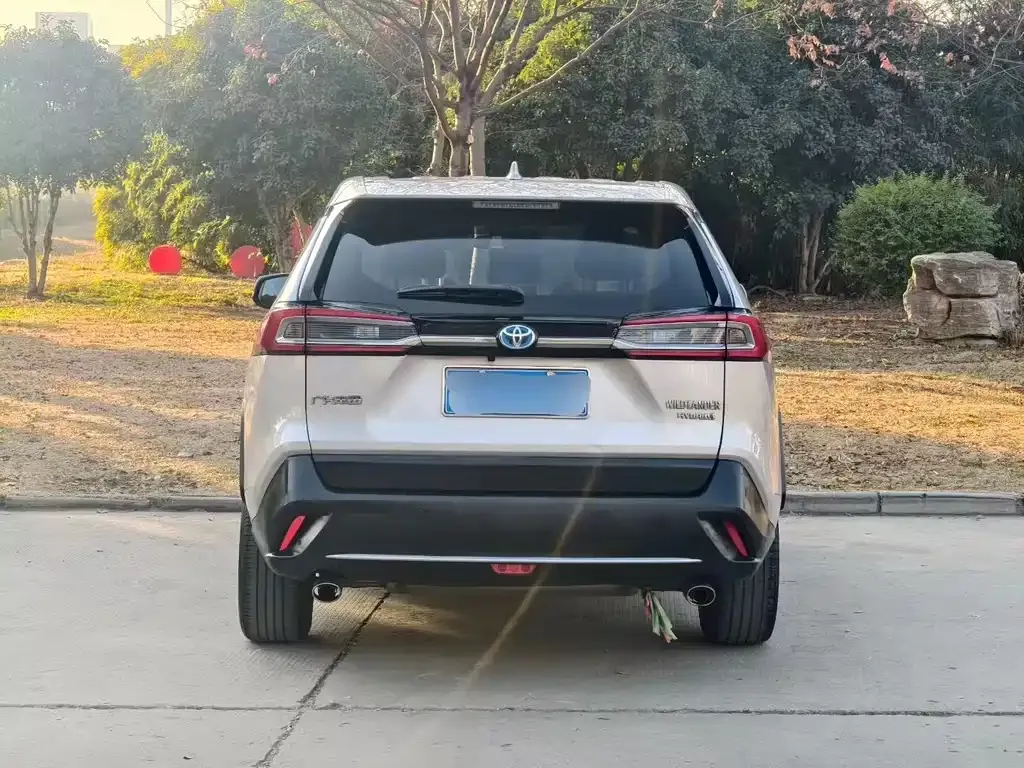 Toyota Wildlander 2021 из CN, фото 7