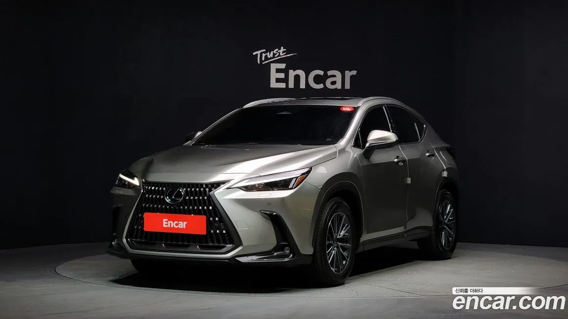 Lexus NX 2024 из KR, фото 1