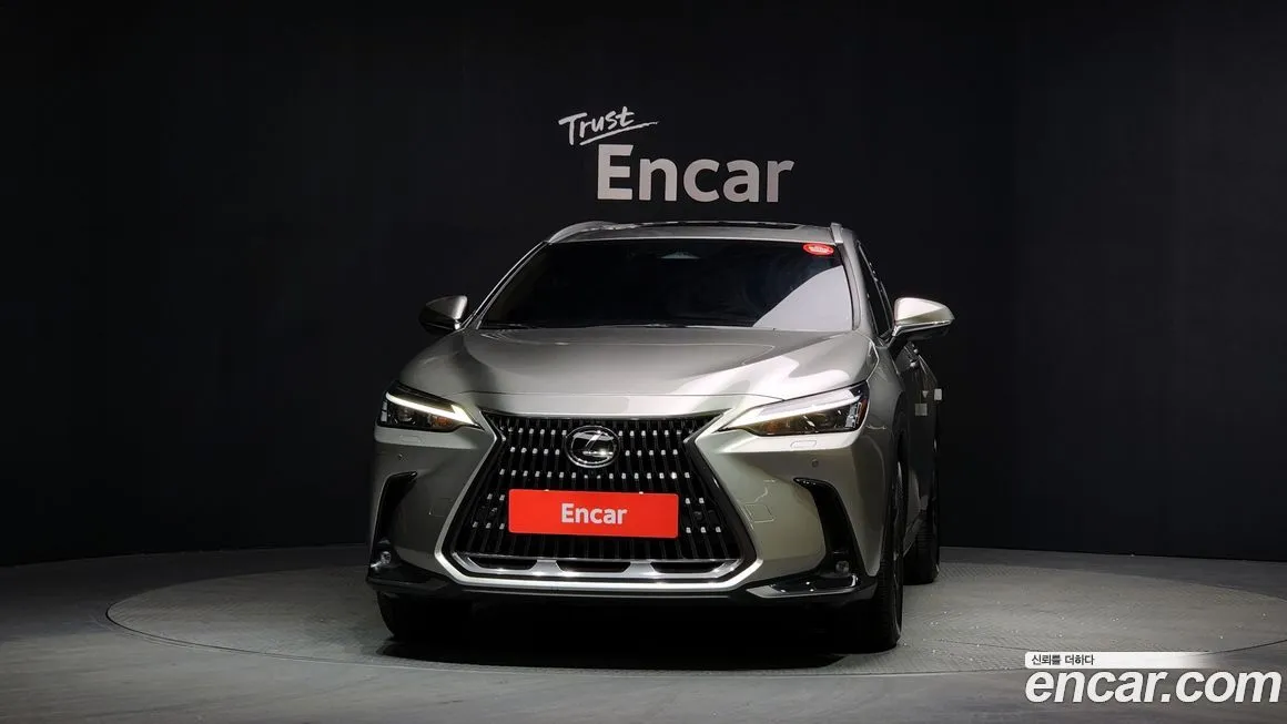 Lexus NX 2024 из KR, фото 5