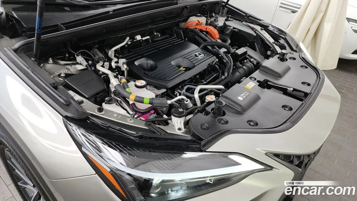 Lexus NX 2024 из KR, фото 10