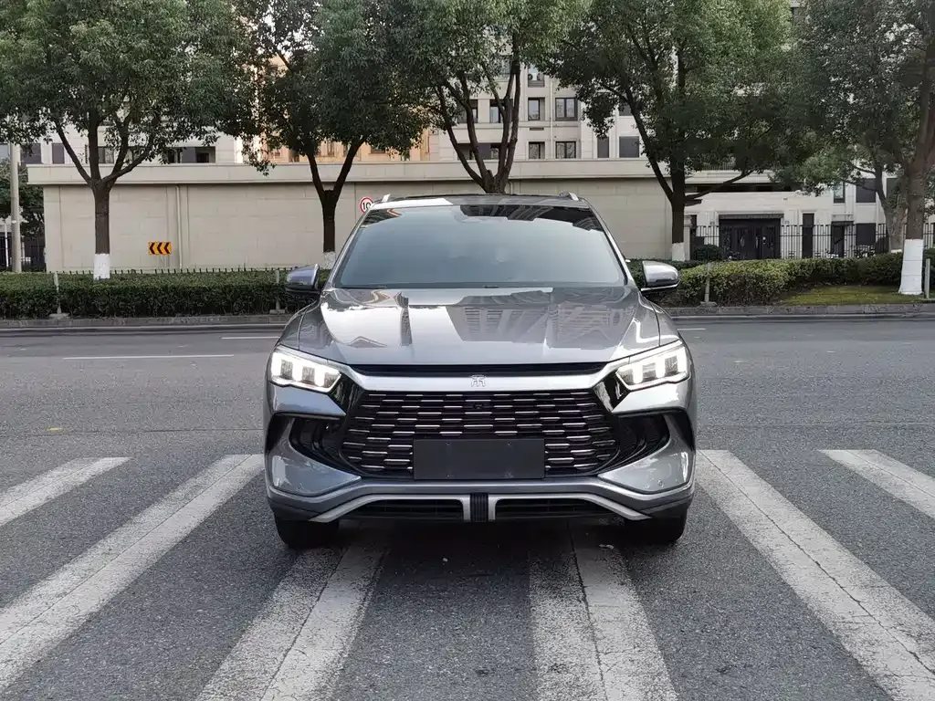 BYD Pro New Energy — фото 1