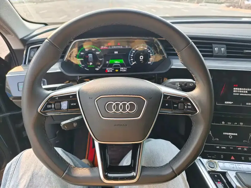 Audi e-tron 2023 из CN, фото 10