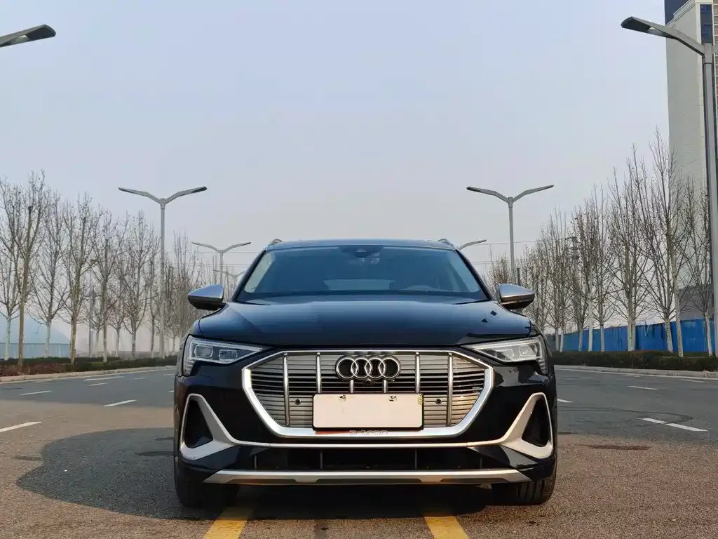 Audi e-tron 2023 из CN, фото 3