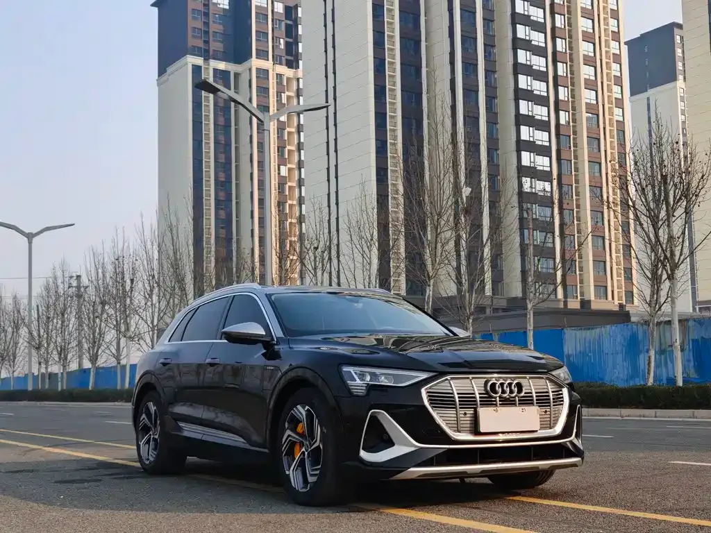 Audi e-tron 2023 из CN, фото 7