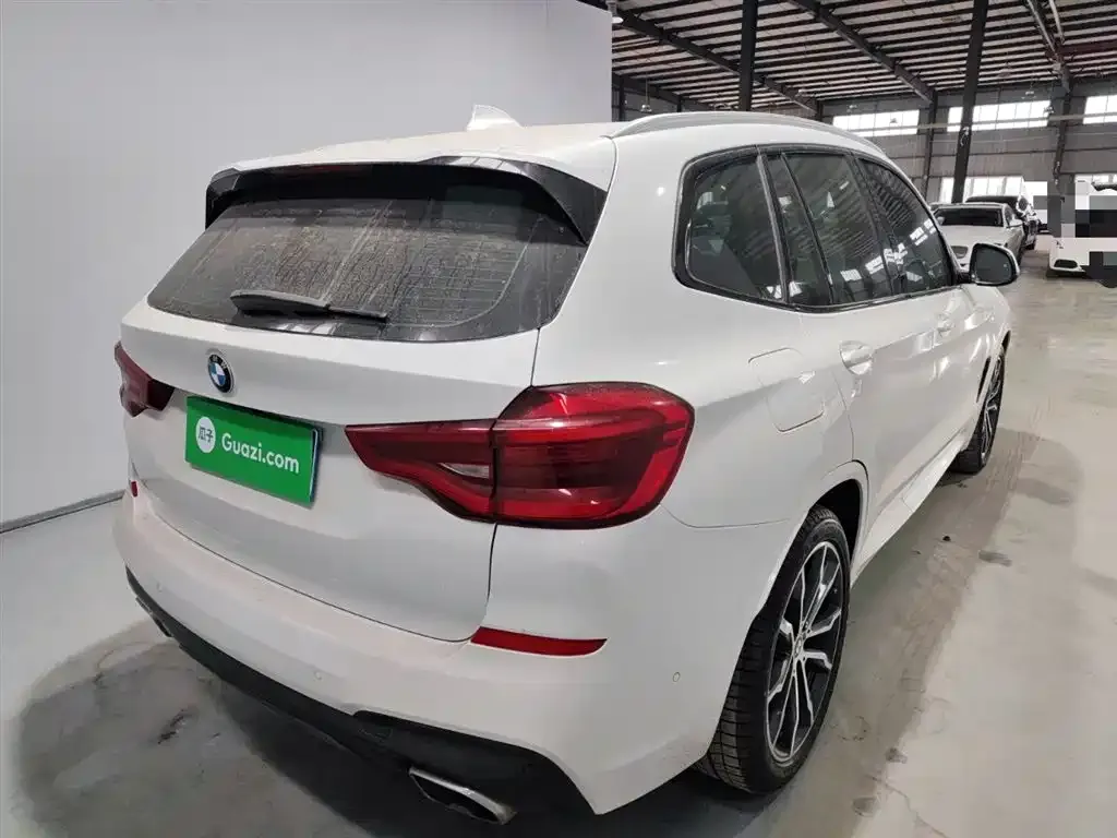 BMW X3 2021 из CN, фото 10