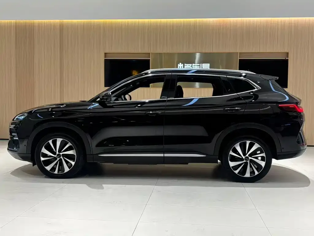 BYD PLUS New Energy 2024 из CN, фото 2