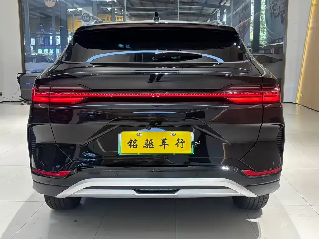 BYD PLUS New Energy 2024 из CN, фото 4