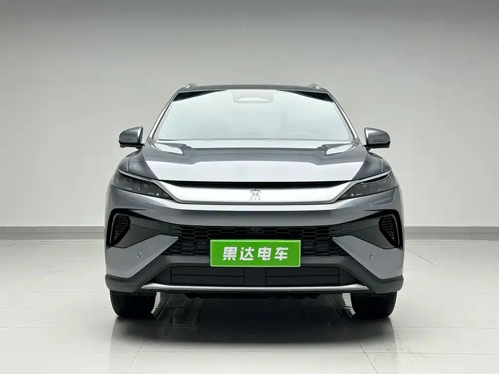 BYD Pro New Energy — фото 6