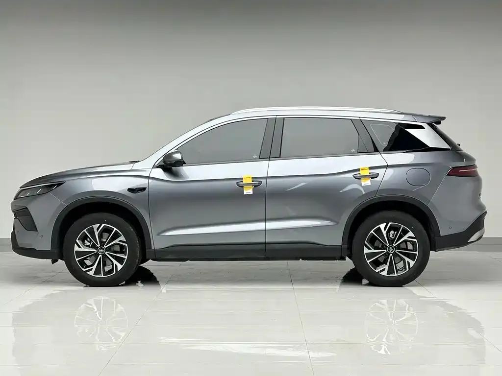 BYD Pro New Energy — фото 2