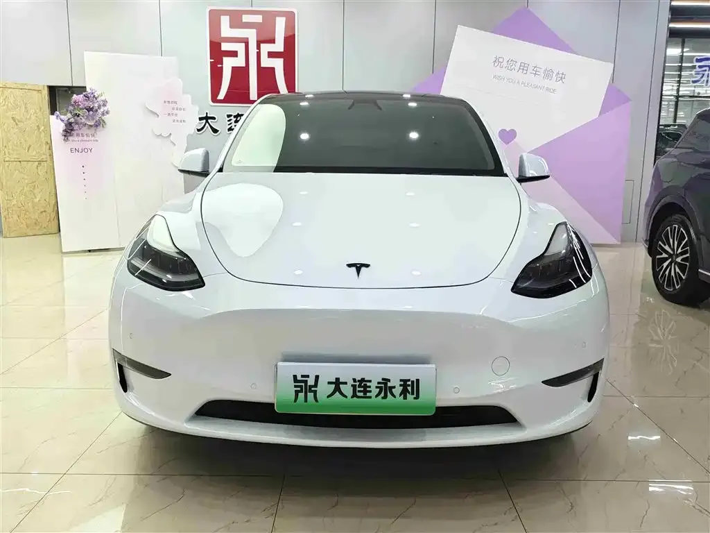 Tesla Model Y — фото 10