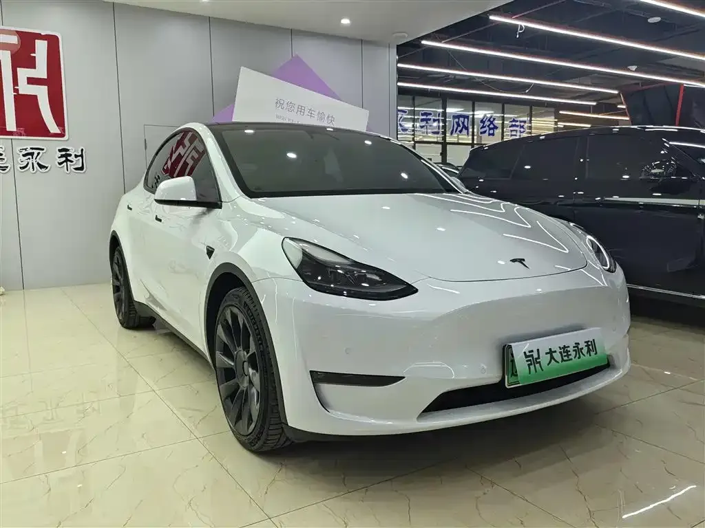 Tesla Model Y — фото 9