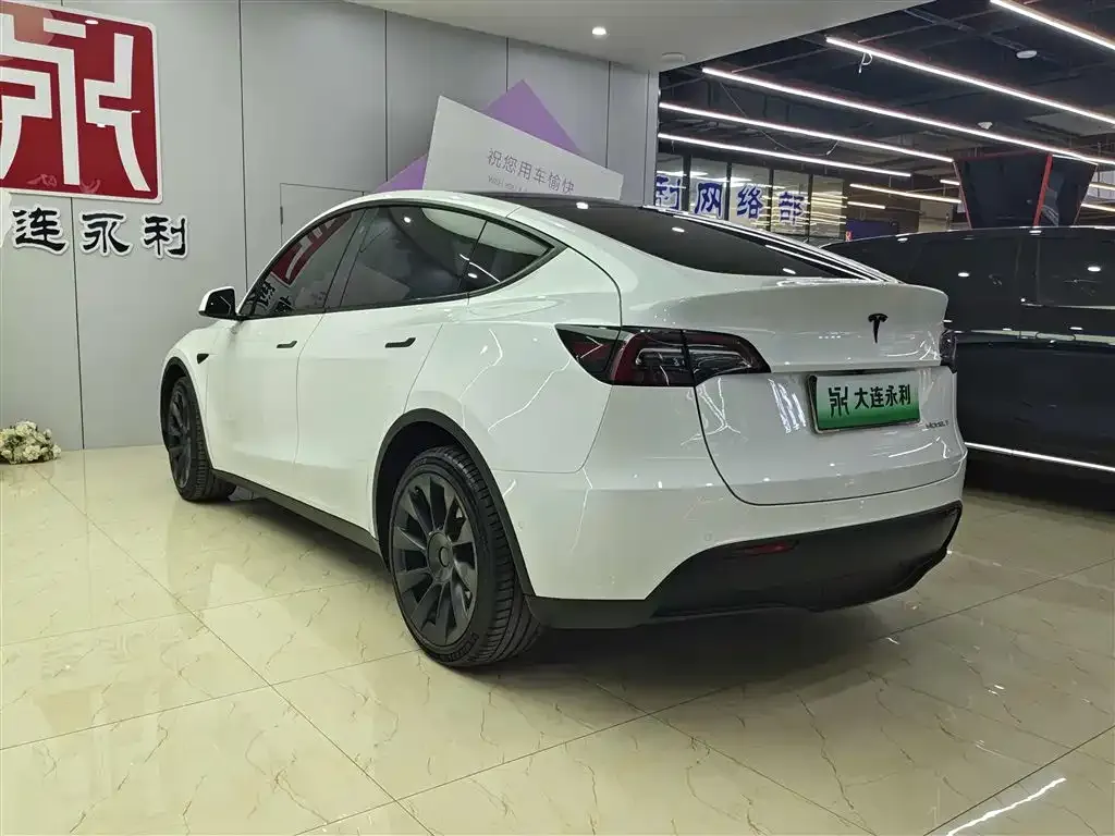 Tesla Model Y — фото 6