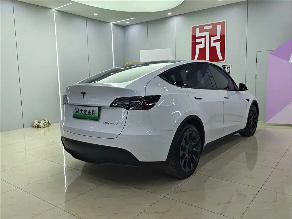 Tesla Model Y — фото 3