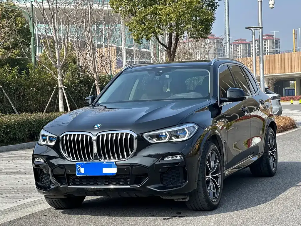 BMW X5 (Import) 2021 из CN, фото 1