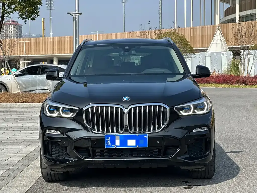 BMW X5 (Import) 2021 из CN, фото 3
