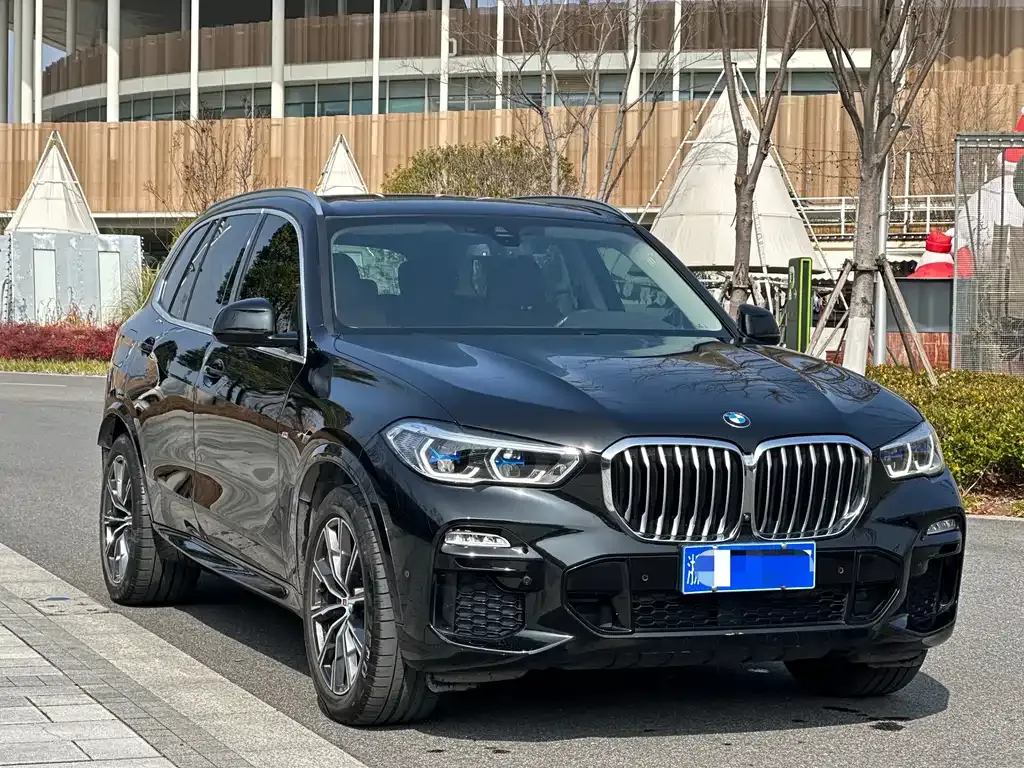BMW X5 (Import) 2021 из CN, фото 8