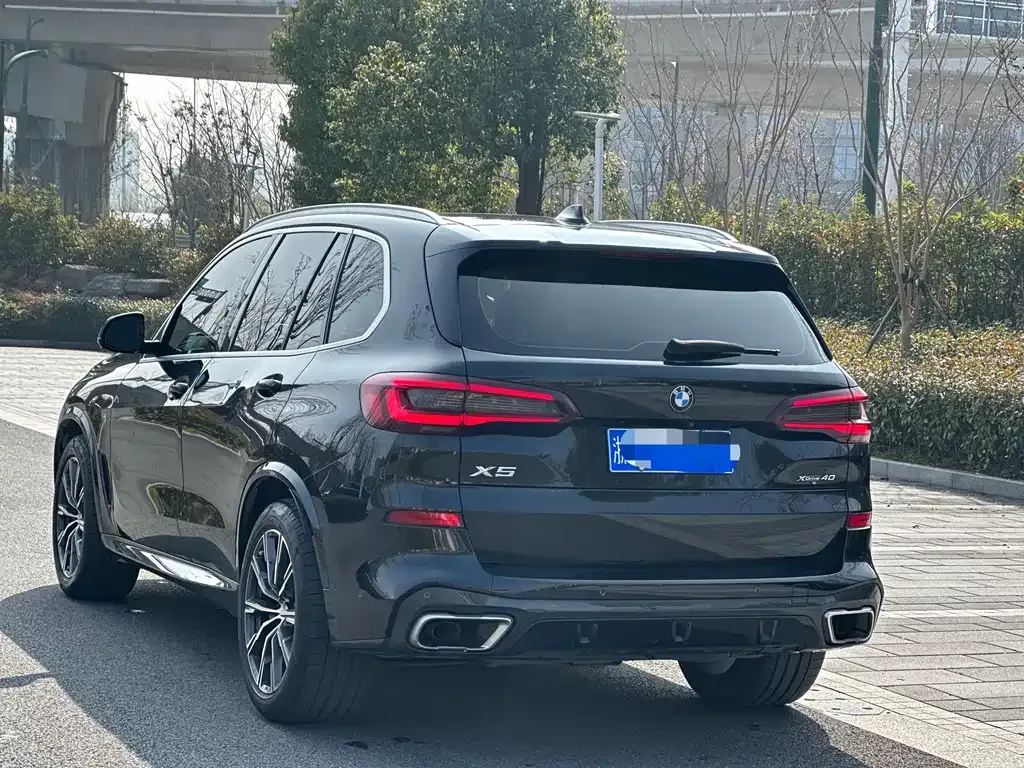 BMW X5 (Import) 2021 из CN, фото 7
