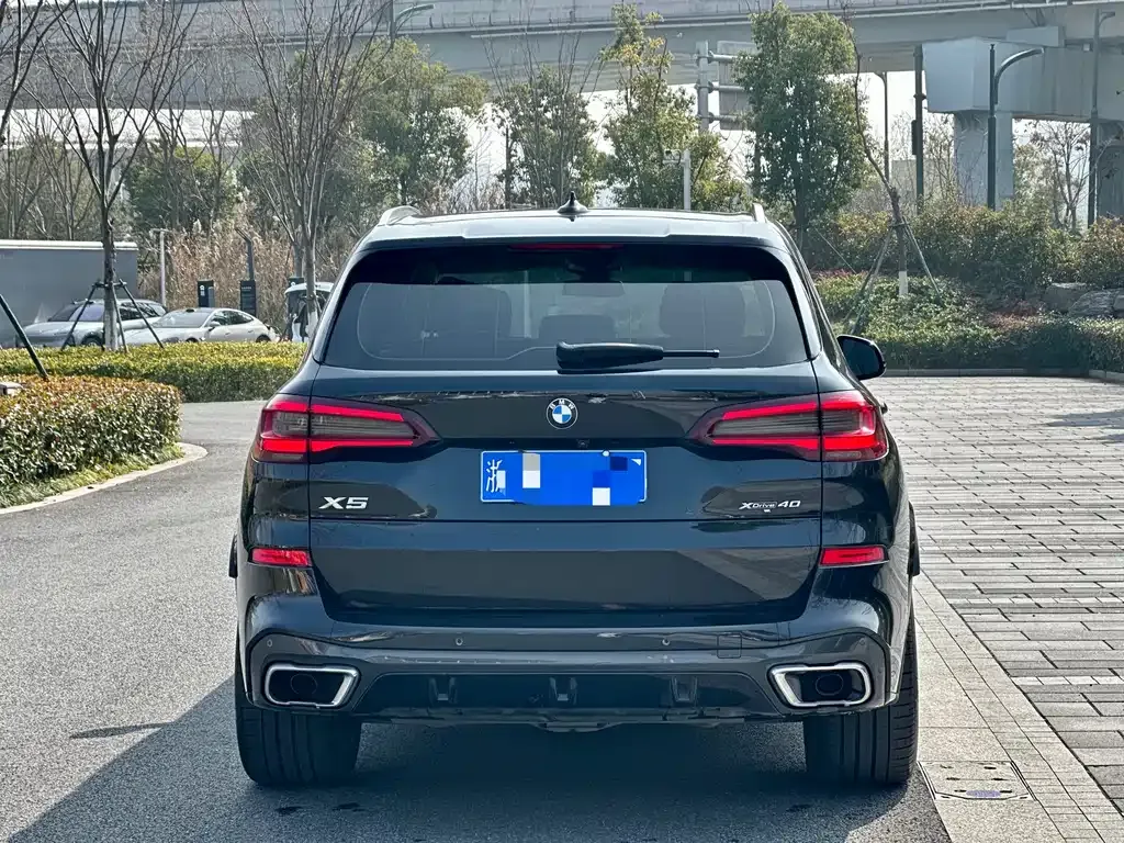 BMW X5 (Import) 2021 из CN, фото 5