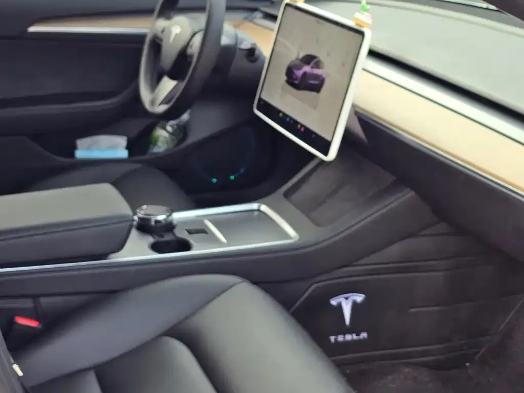 Tesla Model 3 2023 из CN, фото 2