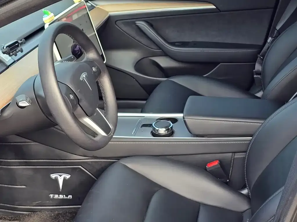 Tesla Model 3 2023 из CN, фото 6