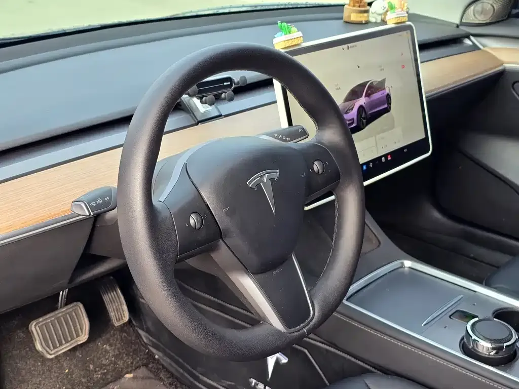 Tesla Model 3 2023 из CN, фото 3