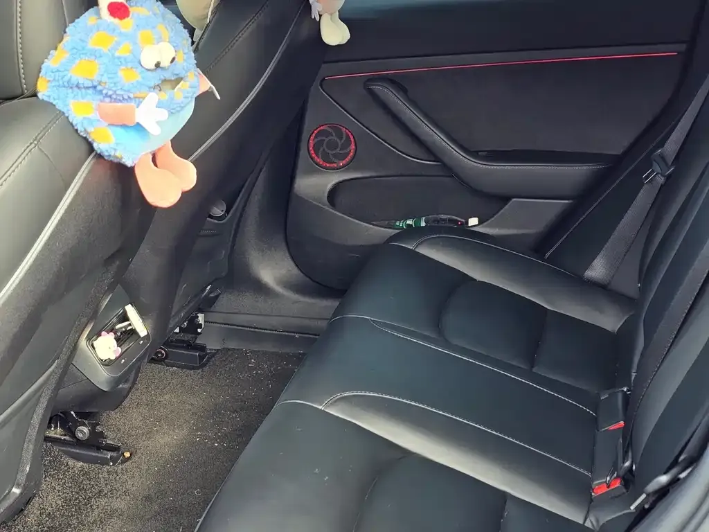 Tesla Model 3 2023 из CN, фото 7