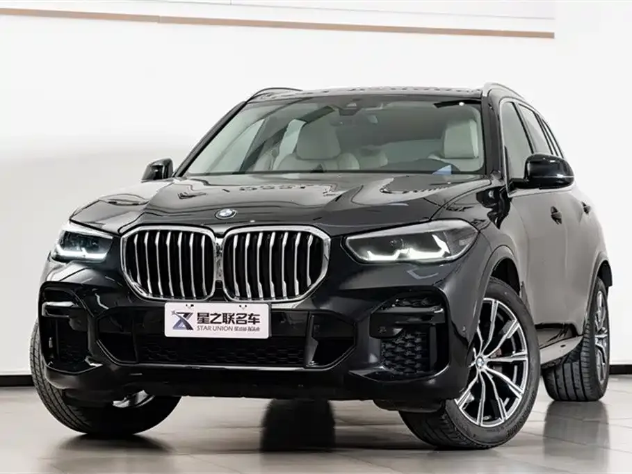 BMW X5 (Import) 2021 из CN, фото 7