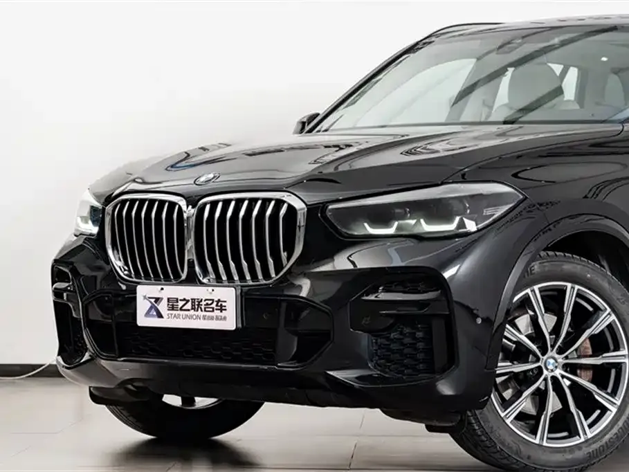 BMW X5 (Import) 2021 из CN, фото 6