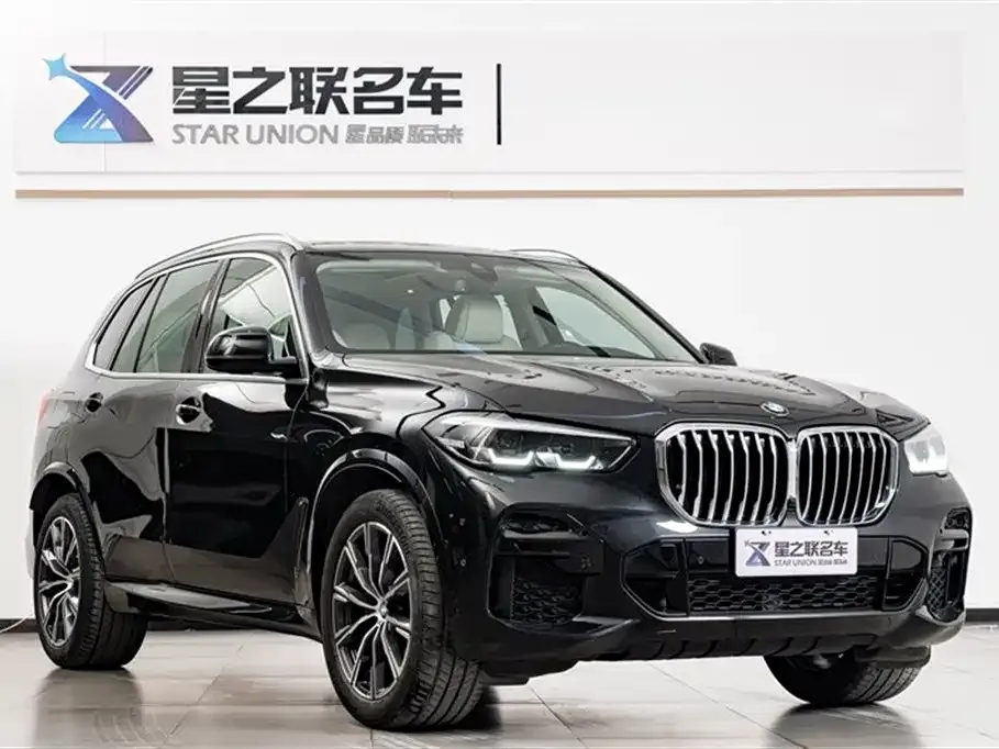 BMW X5 (Import) 2021 из CN, фото 8
