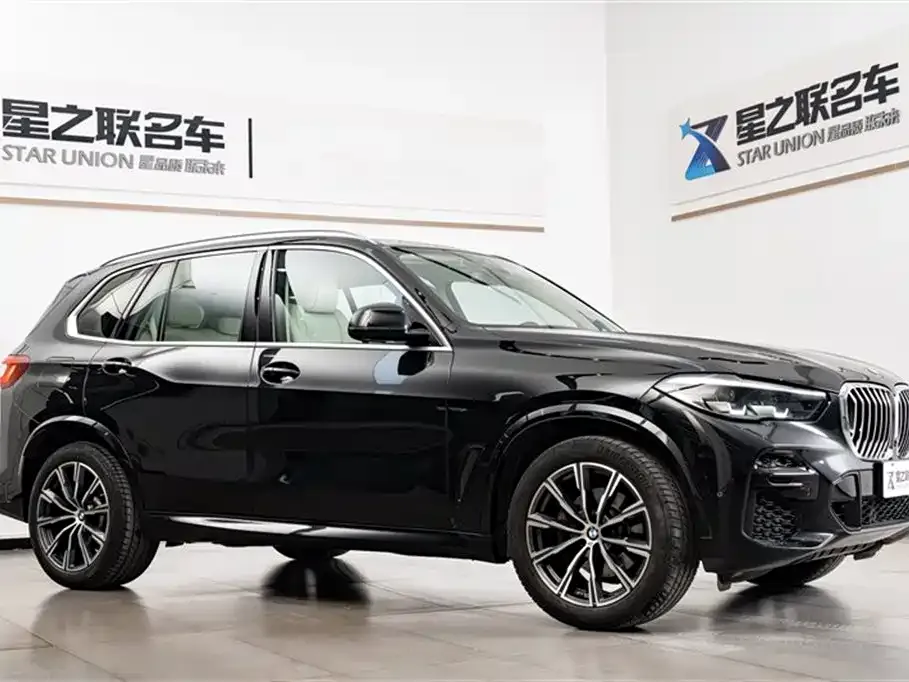 BMW X5 (Import) 2021 из CN, фото 9