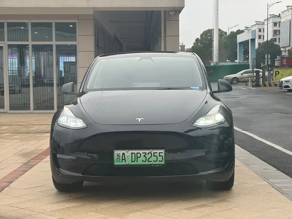 Tesla Model Y — фото 5