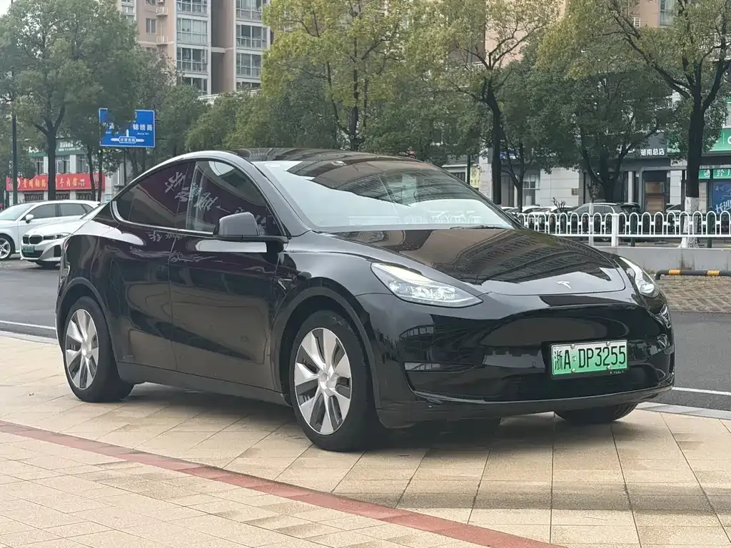 Tesla Model Y — фото 10