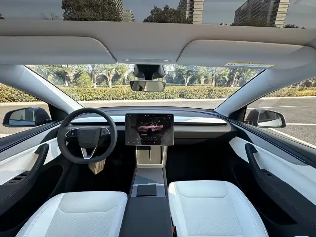Tesla Model Y — фото 10