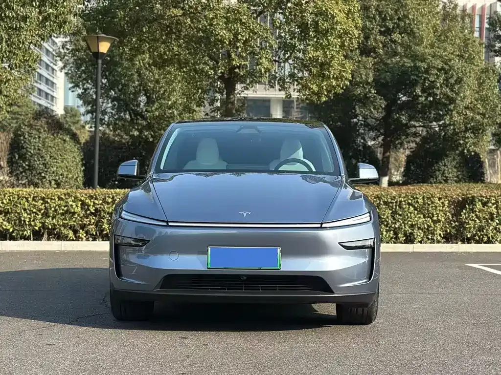 Tesla Model Y — фото 5