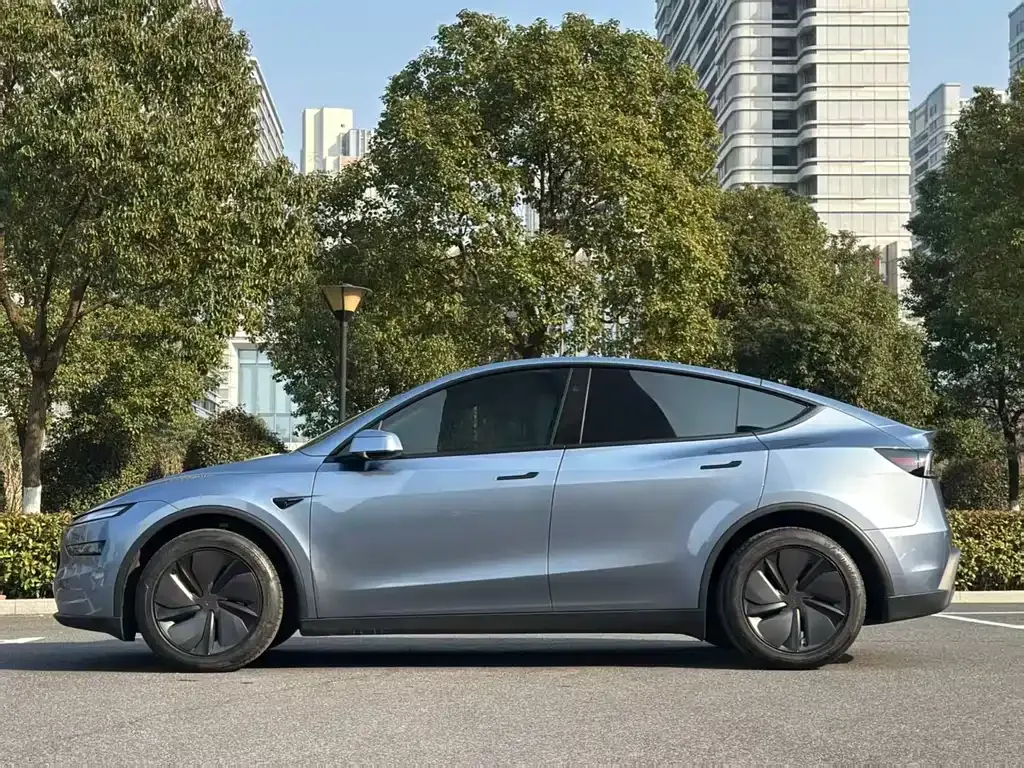 Tesla Model Y — фото 6