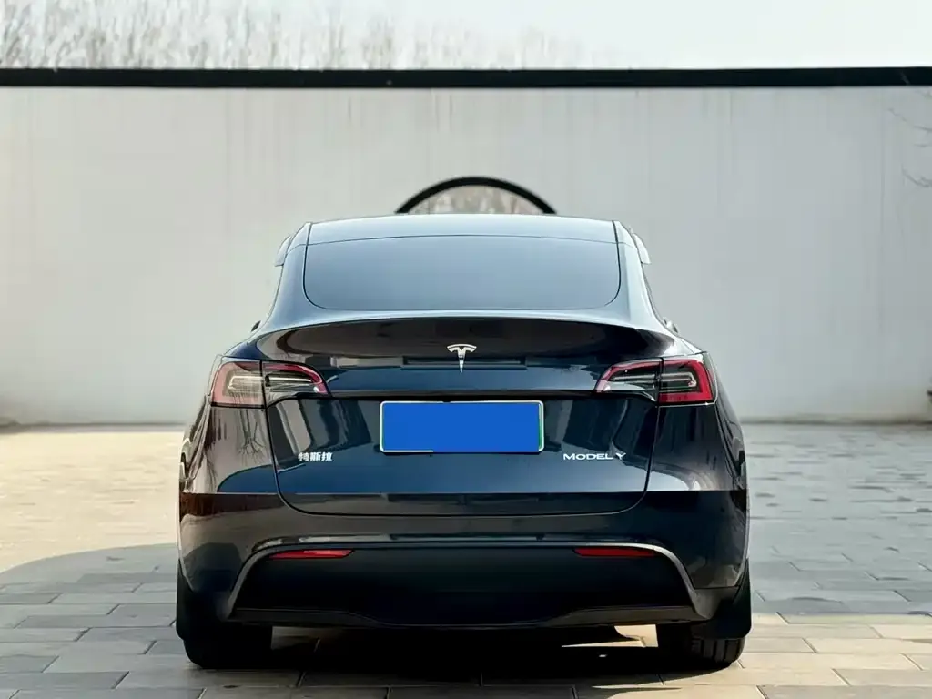 Tesla Model Y 2024 из CN, фото 6