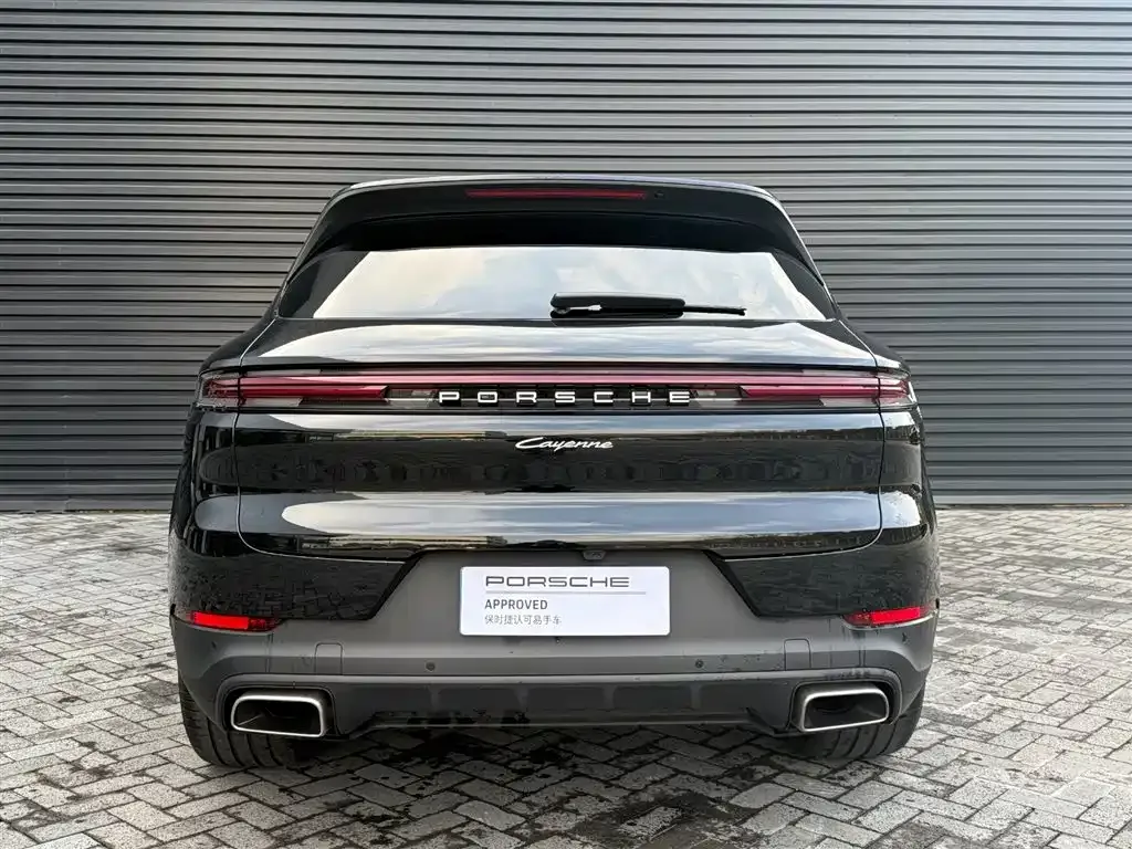 Porsche Cayenne — фото 8