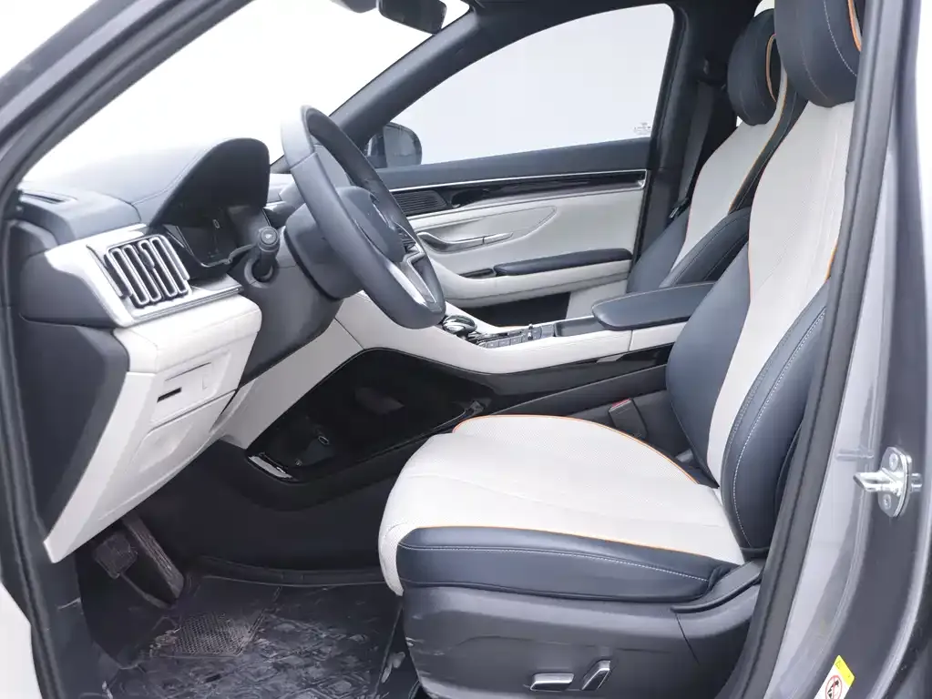 BYD PLUS New Energy 2022 из CN, фото 10