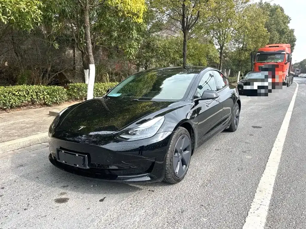 Tesla Model 3 2021 из CN, фото 1