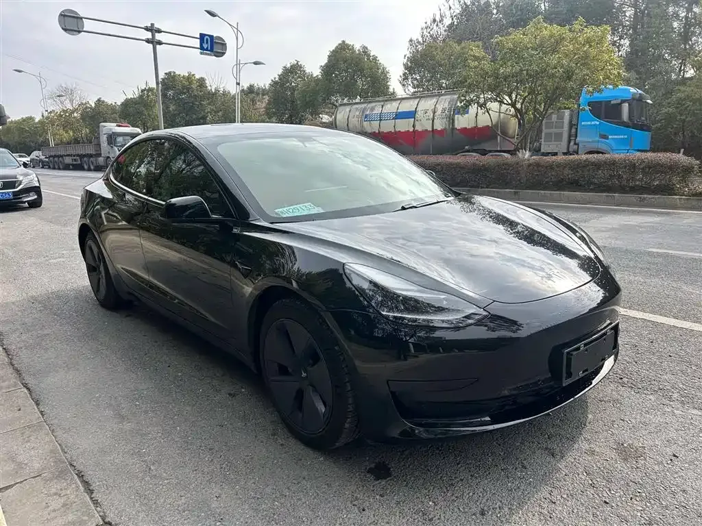 Tesla Model 3 2021 из CN, фото 4